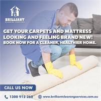 365 Carpet Cleaning | Carpet Cleaners Sydney 365 Carpet Cleaning Services